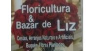 Tchê Encontrei - Floricultura & Bazar de Liz