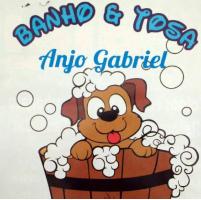 Tchê Encontrei - Banho e Tosa Anjo Gabriel – Banho e Tosa em Canoas